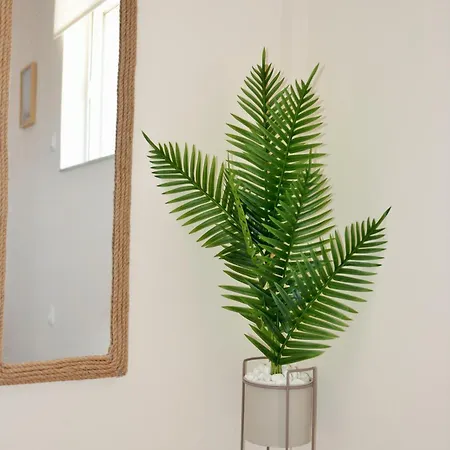 Casa Raymo * Kanálion